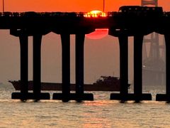 -宝安西湾红树林湿地公园