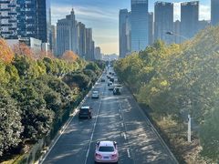 -天鹅湖体育公园