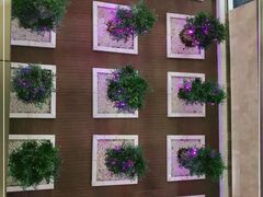 -南京禄口机场雅高铂尔曼大酒店