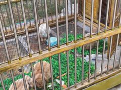-青岛鑫江温德姆酒店