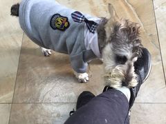 -宠爱有家宠物店(环镇北路店)