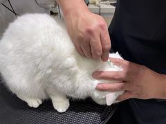 -宠颐生动物医院·小陆分院