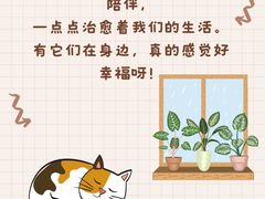 -翊宠yipet猫狗购宠庄园