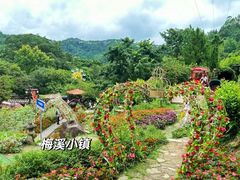 -广东天露山旅游度假区