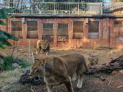 -昆明动物园