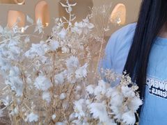 -伊斯坦布尔土耳其清真咖啡餐厅