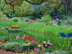 -上海共青森林公园