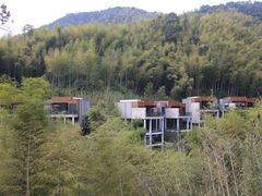 -宁海安岚·南溪阁全日餐厅