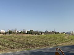 -径山花海