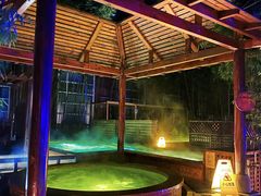 -春晖园度假酒店温泉