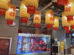 -朱光玉火锅馆(正弘城店)