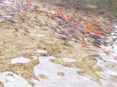 -水磨沟公园