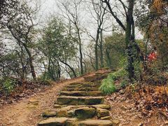 -杭州半山国家森林公园