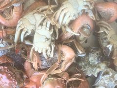 -港畔赶海蒸汽海鲜烧烤自助(仙螺岛店)
