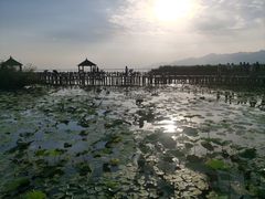 -敕勒川草原
