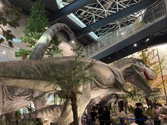 -湖南省地质博物馆