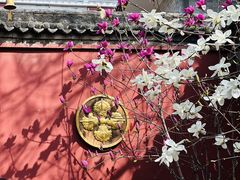-西安市广仁寺
