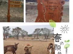 -赛汗塔拉风情园