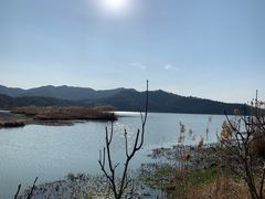 -东钱湖旅游度假区