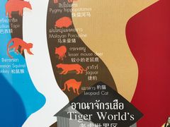 导游图-清迈夜间动物园