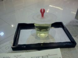 免费菊花茶-DRG达人馆造型