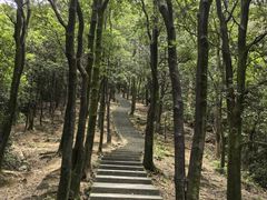 -火炉山森林公园
