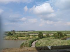 -盐城丹顶鹤湿地生态旅游区