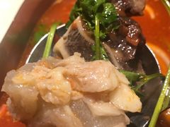 番茄牛膝骨猪肚鸡锅-捞王猪肚鸡火锅(财富中心店)