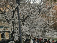 -世纪缘湖滨花园酒店·湖景轩中餐厅(太阳宫店)