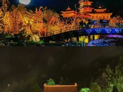 -禅宗少林·音乐大典