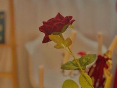 -Smile House咖啡馆(群芳小区店)