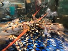 -大门水乡·顺德菜