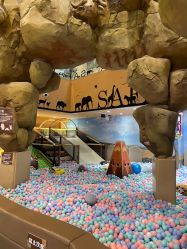 -卡通尼·Safari非洲探索乐园·生日会(金桥国际商业广场店)
