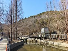 -白水寺森林公园