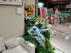 -海马体照相馆(佛山岭南站店)