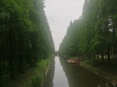 -黄海国家森林公园