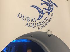 -迪拜水族馆及水下动物园