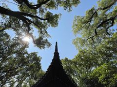 -天一阁博物院