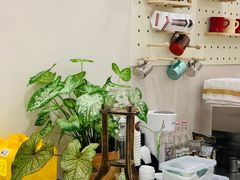-echoes coffee回响咖啡(红山店)
