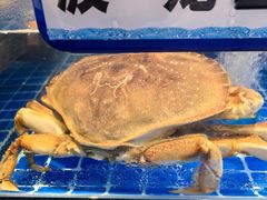 -大鱼徽州·寻味徽菜(星光总店)
