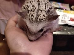 -音乐在线主题氧吧KTV(佳宁娜广场店)