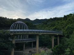 -东部华侨城