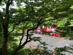 -济州森林小火车生态公园