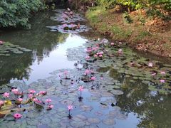 -白沙门生态公园