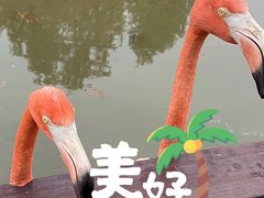 -宁波杭州湾国家湿地公园