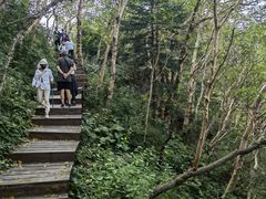 -白草畔自然风景区