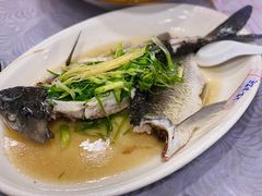 姜葱蒸水库瘦身鲩鱼-粤·向群饭店(龙津东路总店)