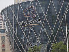 -鹏欣水游城