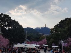-南山植物园