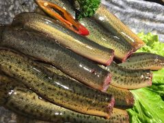 泥鳅-渝利重庆火锅